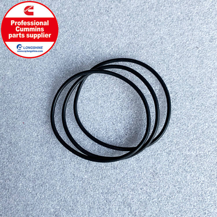 Cummins 6CT O Ring Seal 3883284-1