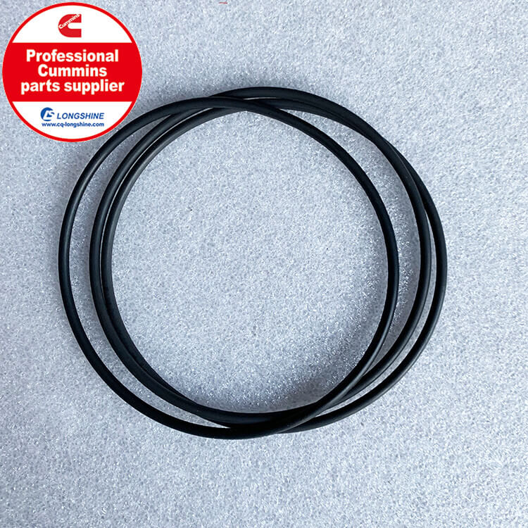 Cummins 6CT O Ring Seal 3902089-1