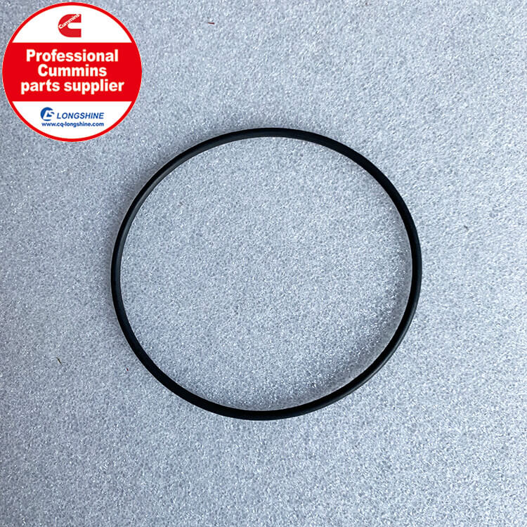 Cummins 6CT O Ring Seal 3902089-2