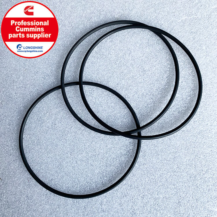 Cummins 6CT O Ring Seal 3902089-4