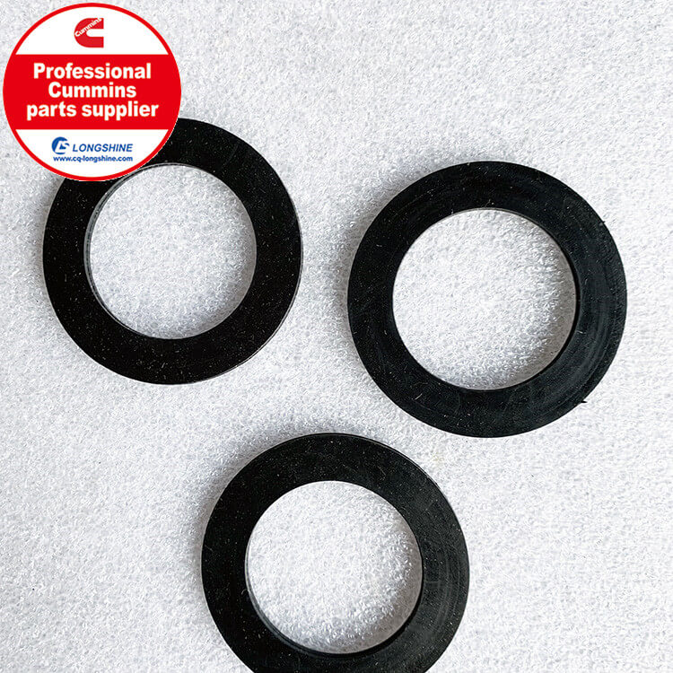 Cummins 6CT Rectangular Ring Seal 3902466-3