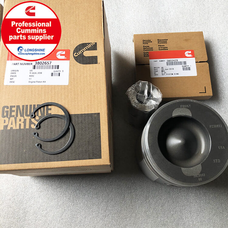 Cummins 6CT8.3 Piston Kit 3802657-2