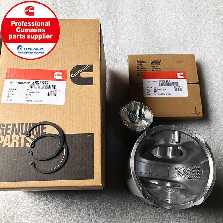 Cummins 6CT8.3 Piston Kit 3802657-3