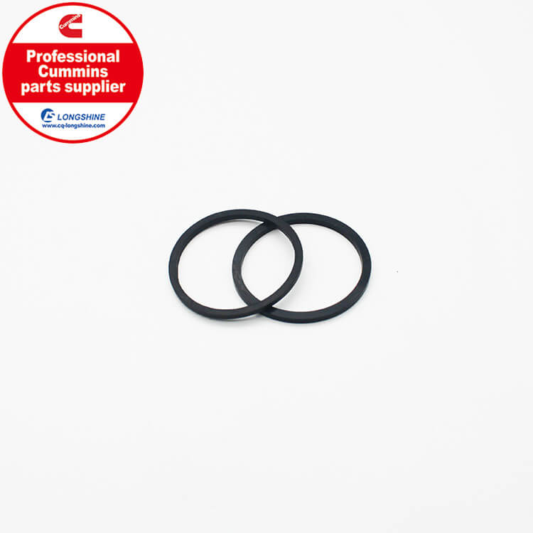 Cummins NT855-G4 O-ring Seal 3016362-1