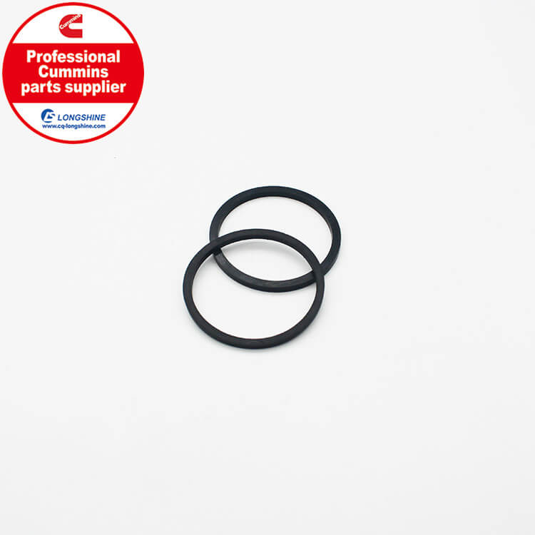 Cummins NT855-G4 O-ring Seal 3016362-5