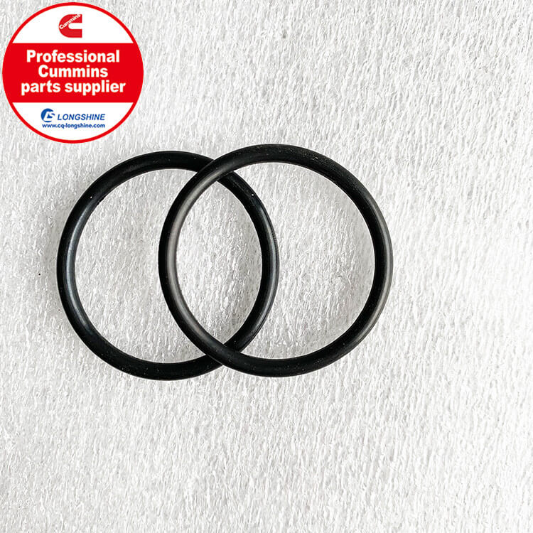 Cummins NTA855 O-Ring Seal 43463A-1