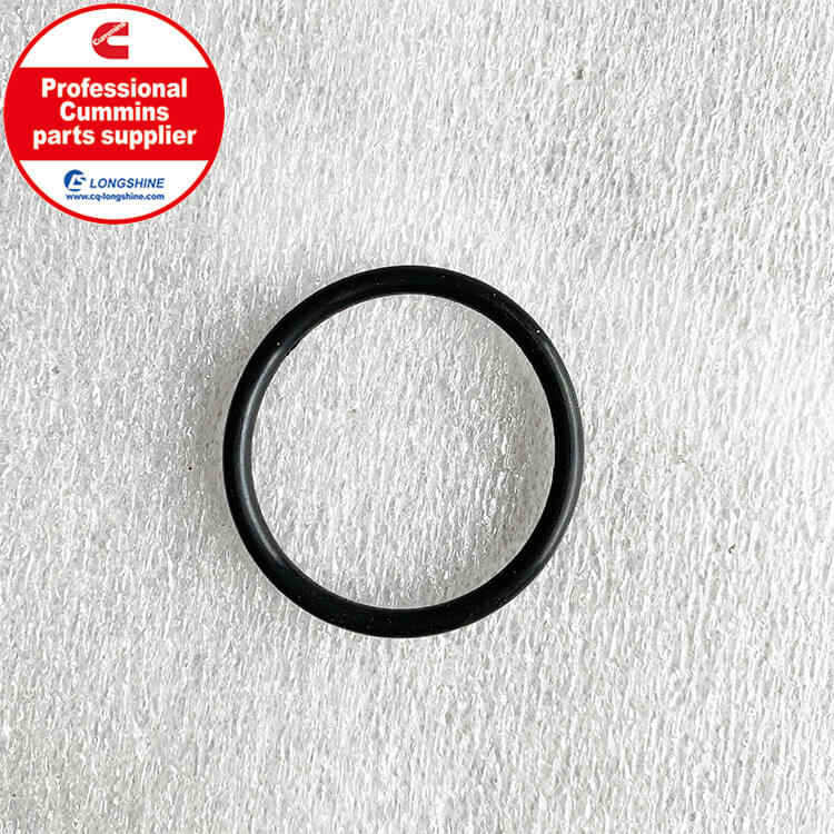 Cummins NTA855 O-Ring Seal 43463A-3