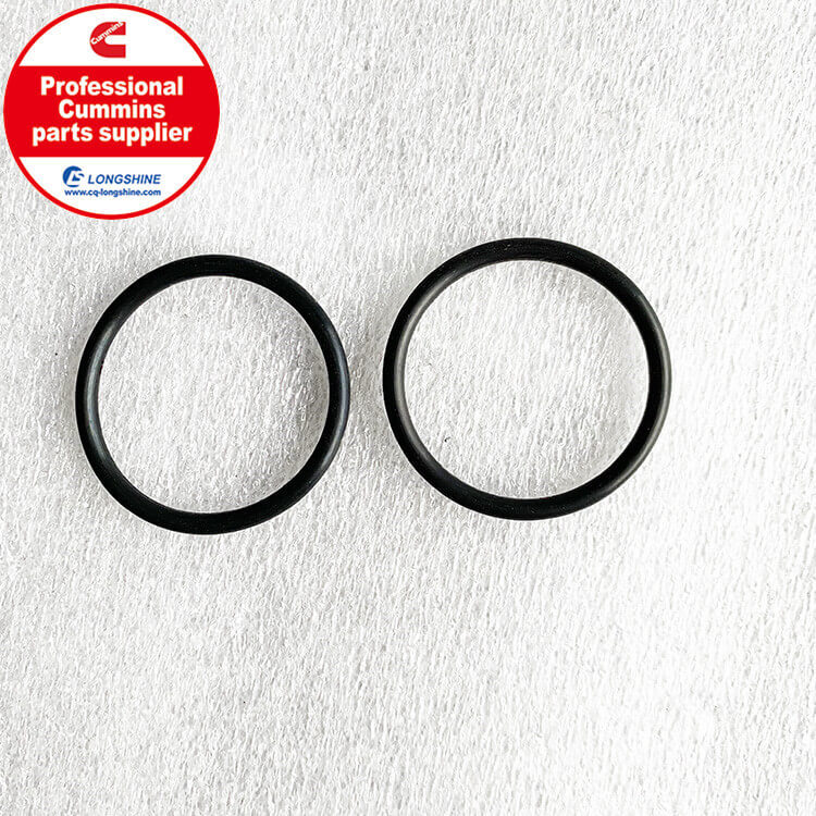 Cummins NTA855 O-Ring Seal 43463A-4