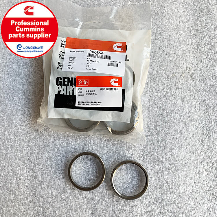 Cummins NTA855 Parts Valve Insert 200354-3