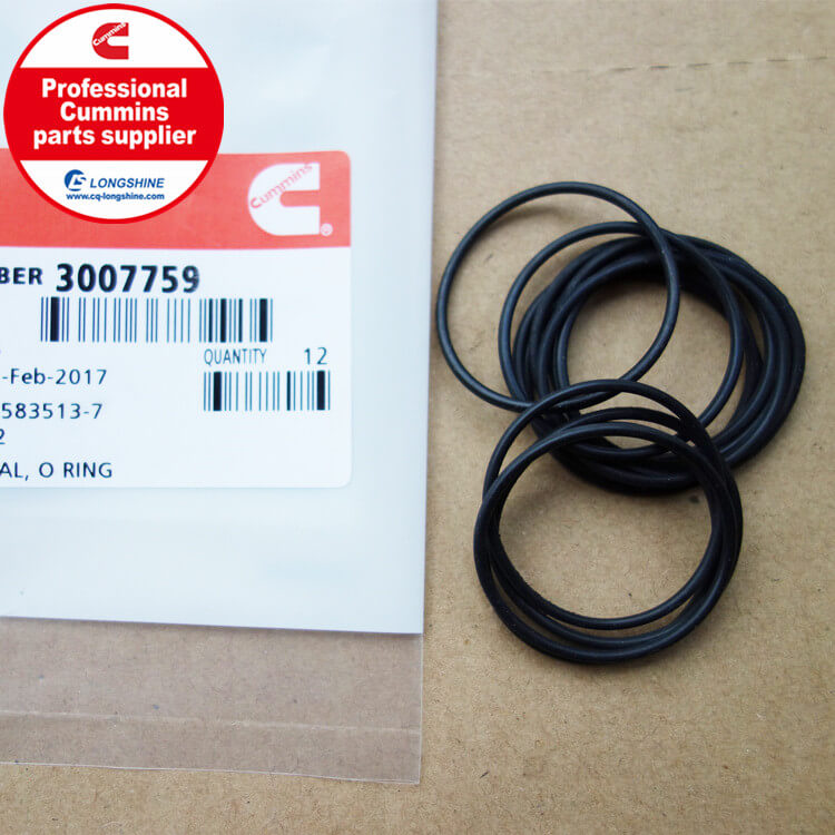 Cummins NTA855 Seal O Ring 3007759-3