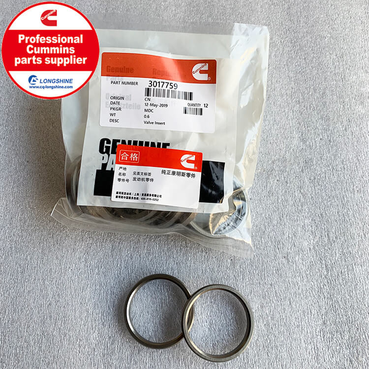 Cummins NTA855 Valve Seat 3017759-2